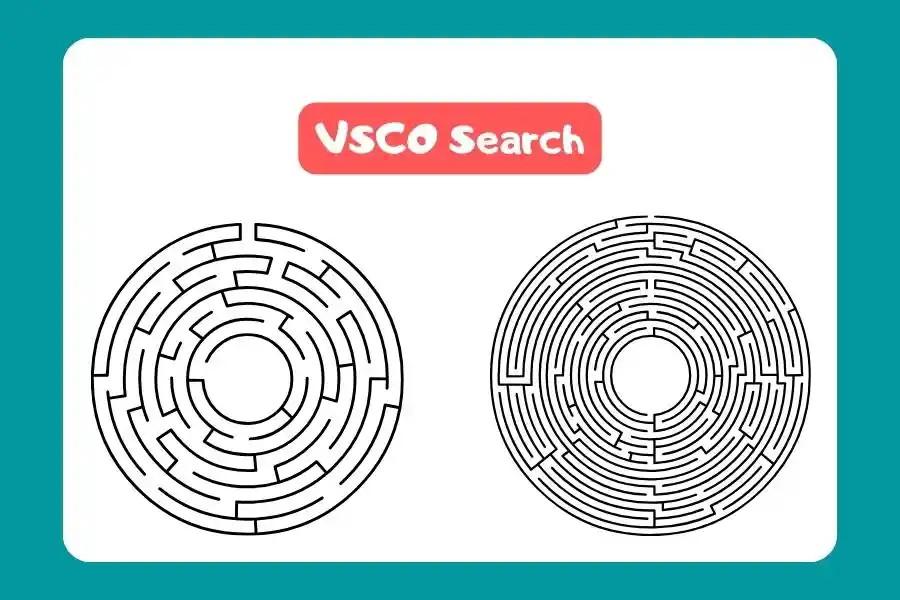 VSCO Search