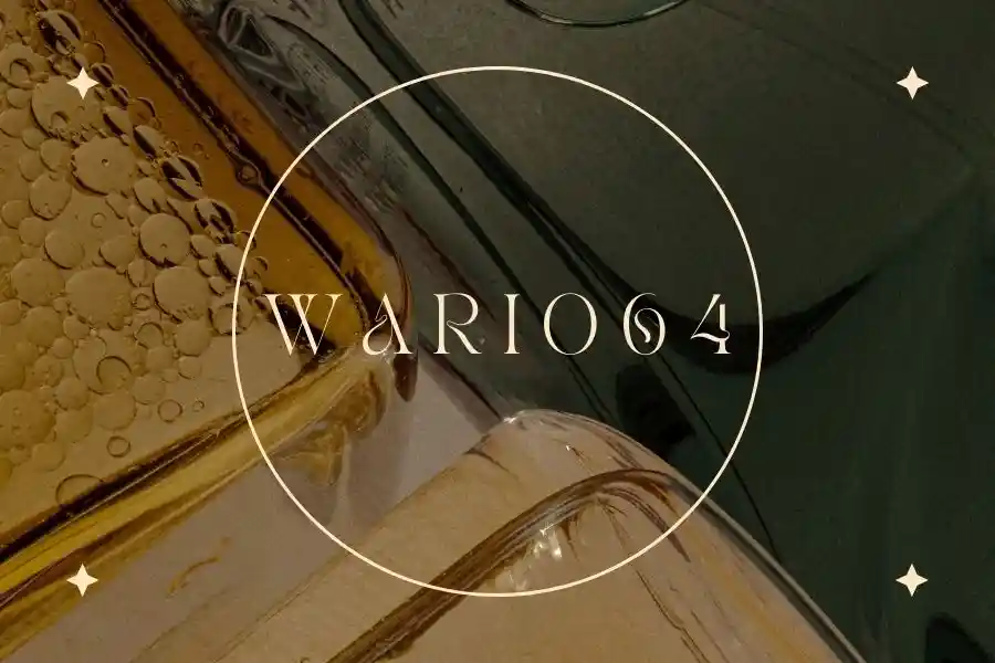 Wario64